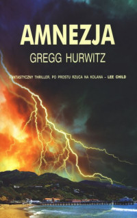 Gregg Hurwitz ‹Amnezja›