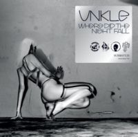 UNKLE ‹Where Did the Night Fall ›