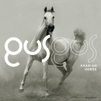GusGus ‹Arabian Horse›