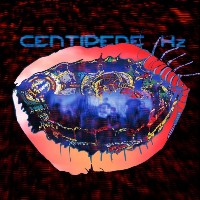 Animal Collective ‹Centipede Hz›