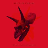Alice In Chains ‹The Devil Put Dinosaurs Here›