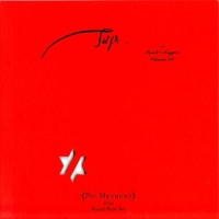 Pat Metheny ‹Tap: The Book of Angels, Vol. 20›