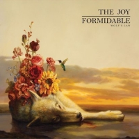 The Joy Formidable ‹Wolf’s Law›