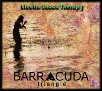 Barracuda Triangle ‹Electro Shock Therapy›