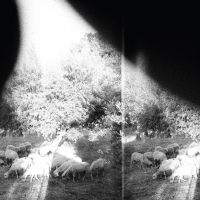 Godspeed You! Black Emperor ‹’Asunder, Sweet and Other Distress’›