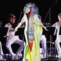 Björk ‹Vulnicura Strings›