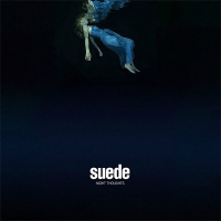 Suede ‹Night Thoughts›