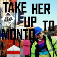 Róisín Murphy ‹Take Her Up to Monto›
