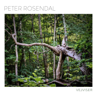 Peter Rosendal ‹Vejviser›