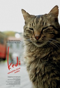 Ceyda Torun ‹Kedi – sekretne życie kotów›