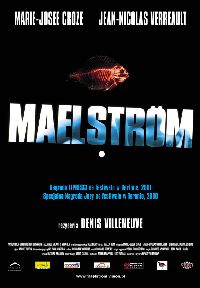 Denis Villeneuve ‹Maelstrom›