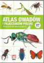 Atlas owadów i pajęczaków Polski. Przewodnik obserwatora
