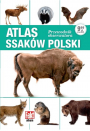 Atlas ssaków Polski. Przewodnik obserwatora
