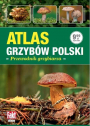 Atlas grzybów Polski. Przewodnik grzybiarza