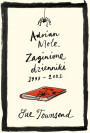 Adrian Mole. Zaginione dzienniki 1999-2001