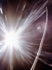 Alexander Gütsche ‹Terrorgarden and Other Short Stories›