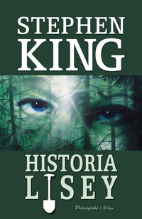 Stephen King ‹Historia Lisey›
