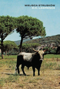 D.H. Lawrence &lsaquo;Miejsca Etrusków&rsaquo;