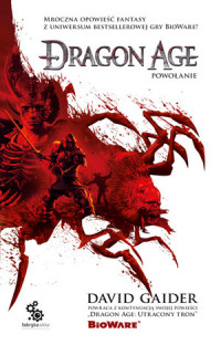 David Gaider ‹Dragon Age: Powołanie›