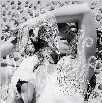 Björk ‹Vespertine›