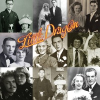 Little Dragon &lsaquo;Ritual Union&rsaquo;