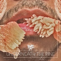 Toro Y Moi &lsaquo;Underneath the Pine&rsaquo;