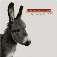 Elektryczne Gitary &lsaquo;Nic mnie nie rusza&rsaquo;
