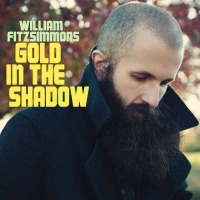 William Fitzsimmons &lsaquo;Gold In The Shadow&rsaquo;