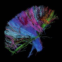 Muse &lsaquo;The 2nd Law&rsaquo;