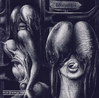 The Shiver &lsaquo;Walpurgis&rsaquo;