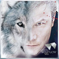 Grzegorz Wilk ‹Wolf Flow›