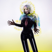 Björk ‹Vulnicura›