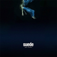 Suede &lsaquo;Night Thoughts&rsaquo;
