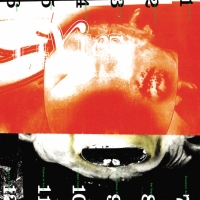 Pixies &lsaquo;Head Carrier&rsaquo;