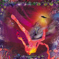 Acid Mothers Temple & The Melting Paraiso U.F.O. ‹Sacred and Inviolable Phase Shift›