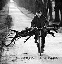 Quidam ‹…bez półPRĄDU… halfPLUGGED...›