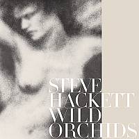 Steve Hackett ‹Wild Orchids›