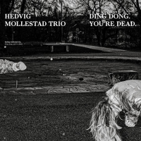 Hedvig Mollestad Trio ‹Ding Dong. You’re Dead.›