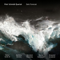 Piotr Schmidt Quartet ‹Dark Forecast›
