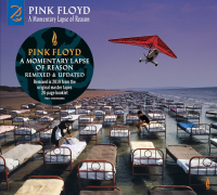 Pink Floyd ‹A Momentary Lapse of Reason (Remixed & Updated)›