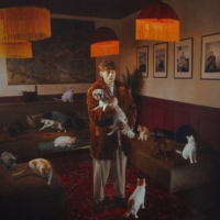 Dawid Tyszkowski ‹Mój kot zaginął i już raczej nie wróci›