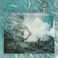 Can ‹Flow Motion›