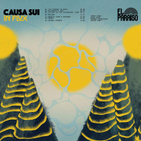 Causa Sui ‹In Flux›