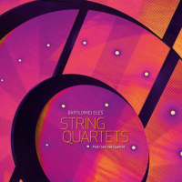 Bartłomiej Oleś, Piotr Steczek Quartet &lsaquo;String Quartets&rsaquo;