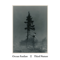 Ocean Fanfare &lsaquo;Third Nature&rsaquo;