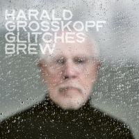 Harald Grosskopf &lsaquo;Glitches Brew&rsaquo;