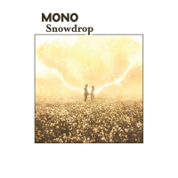 Mono &lsaquo;Snowdrop&rsaquo;