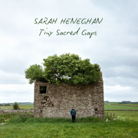 Sarah Heneghan &lsaquo;Tiny Sacred Gaps&rsaquo;