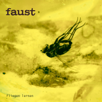 Faust (curated by Gunther Wüsthoff) &lsaquo;Fliegen lernen&rsaquo;