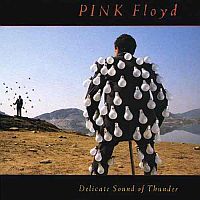 Pink Floyd ‹Delicate Sound of Thunder›